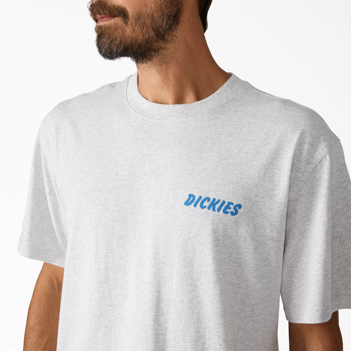 Dry Ridge Graphic T-Shirt - Light Gray (A28)