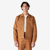 Brown Duck (WSD)