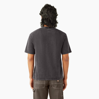 Plentywood Short Sleeve T-Shirt - Acid Wash Black (H86)